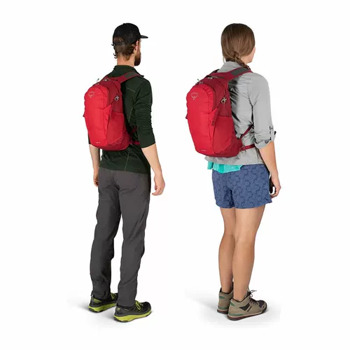 Spot Eagle Osprey Daylite Sunlight 13L City Daily User Workers Radkpacks могут быть зарегистрированы