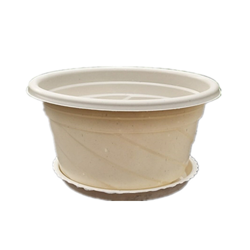 绿萝盆栽自动吸水盆懒人塑料透明盆自吸盆多肉园艺花盆套装外罩盆,淘宝优惠券,粉丝福利购,淘宝优惠卷