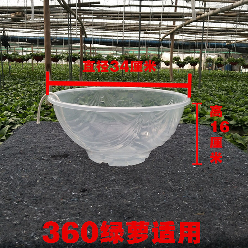 绿萝盆栽自动吸水盆懒人塑料透明盆自吸盆多肉园艺花盆套装外罩盆,淘宝优惠券,粉丝福利购,淘宝优惠卷