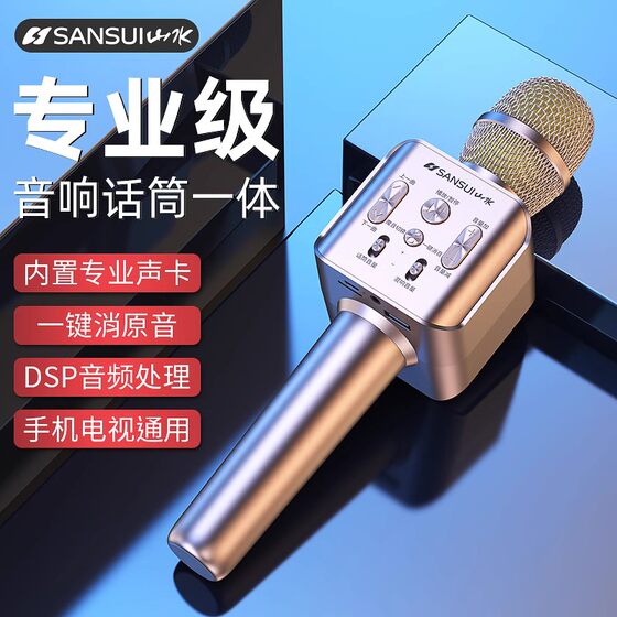Wireless home outdoor microphone audio integrated microphone