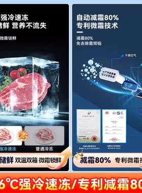 星星冰柜305升商用家用冷藏保鲜冷冻两用双温大容量冷柜小型冰柜