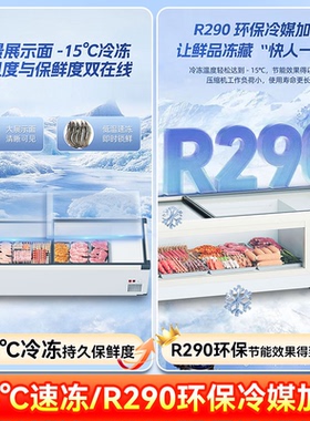 星星冰柜台式摆摊烧烤保鲜展示柜