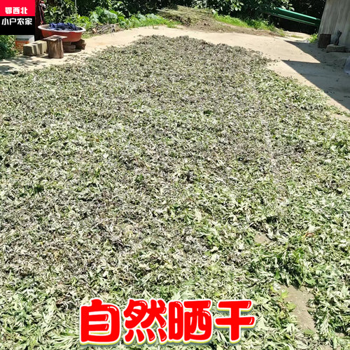 正宗湖北武当端午野生艾叶干艾草泡脚药包坐月子洗澡无梗艾草叶 - 图1