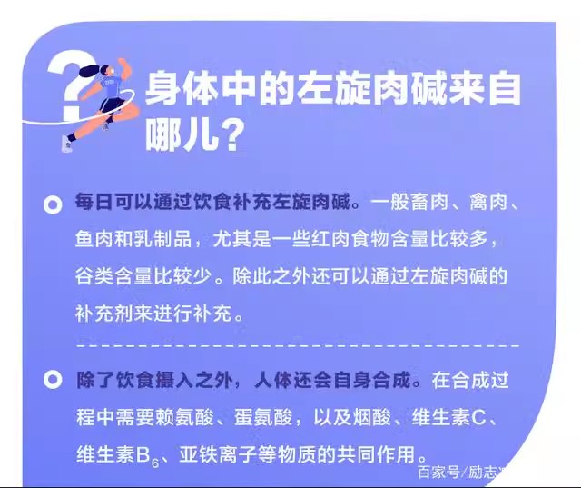 左旋肉碱粉carnitine健身补剂运动食品级L-肉碱脂肪终结者卡尼丁 - 图2