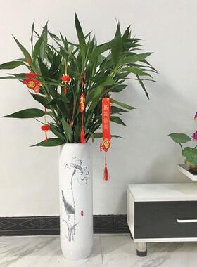 特大号50cm以上大花瓶客厅装饰摆件陶瓷真干花水培简约中式插花器