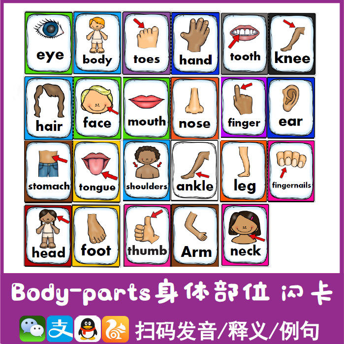 身体部位图 新人首单立减十元 21年8月 淘宝海外
