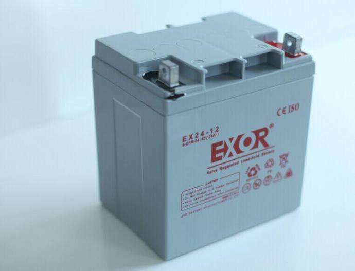 新品EXOR埃索EX38-12V38AH/NP100AH65A40A38A20A24A17A200A消防蓄 - 图1