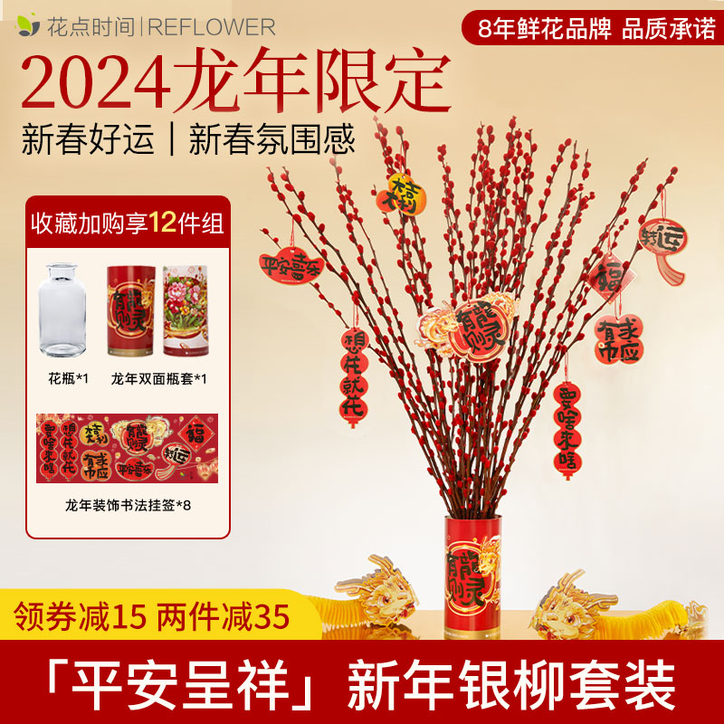 花点时间 2024银柳新年宵装饰（20支60cm）