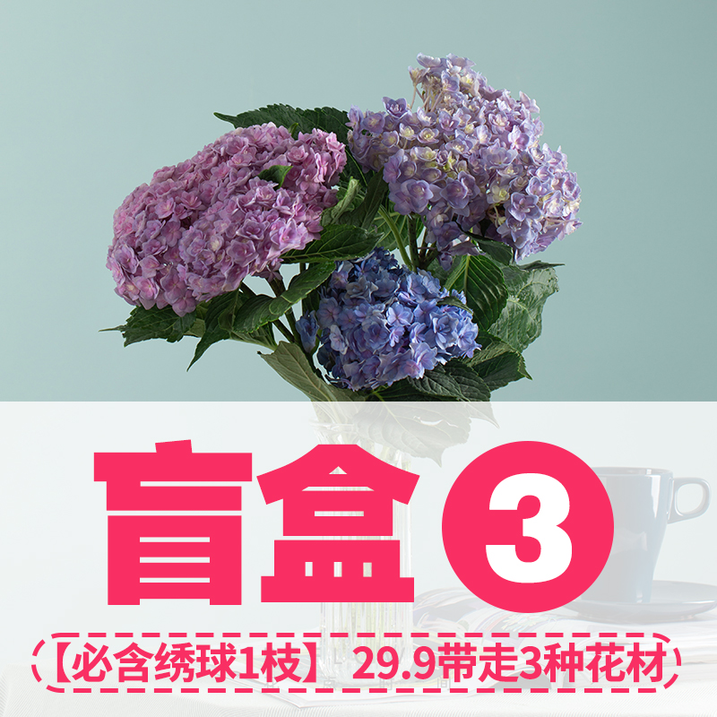 【鲜花盲盒】花点时间春季鲜花玫瑰花束洋牡丹洋兰康乃馨六出云南 - 图2