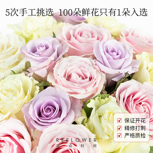A级玫瑰花鲜花梦金鹏云南基地直发百合花卉家用鲜切花束弗洛伊德A - 图0