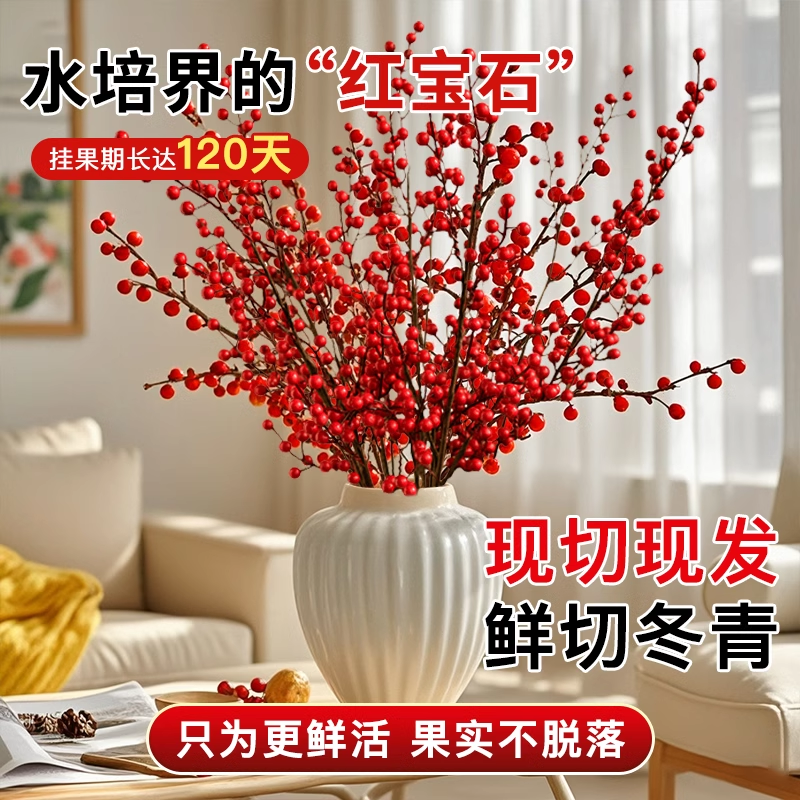 北美冬青红果2025新年装饰真花鲜切水培带果室内年宵花卉家用插瓶,淘宝优惠券,粉丝福利购,淘宝优惠卷