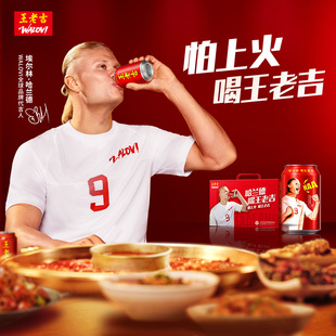 【哈兰德联名】王老吉凉茶饮料310ml*12罐