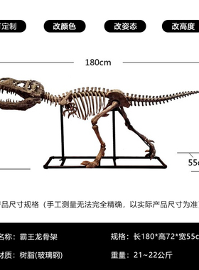 霸王龙树脂大型骨架橱窗装饰品