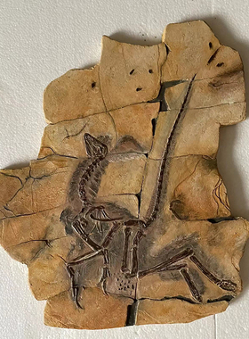 始祖鸟化石标本仿真树脂壁挂