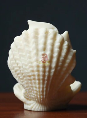 象牙果贝壳海螺创意摆件