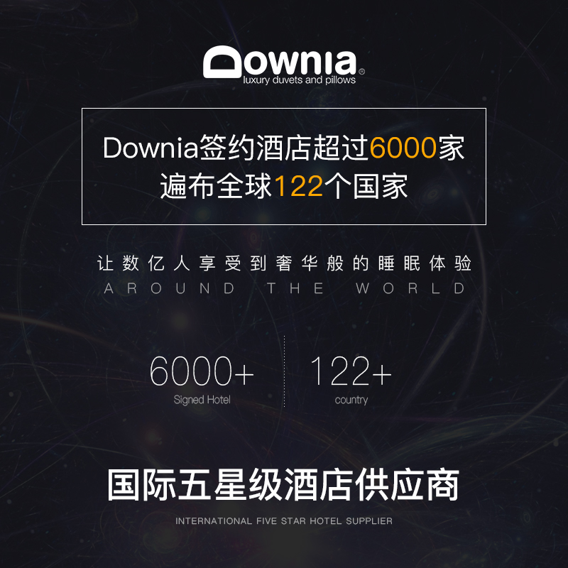 DOWNIA羽绒枕头枕芯护颈椎助睡眠95白鹅绒五星级酒店枕头单人家用 - 图2