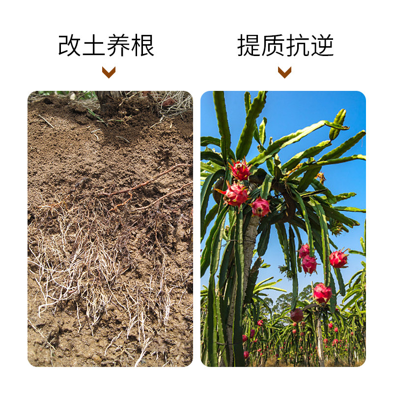 杜高鱼蛋白水溶肥氨基酸叶面肥蔬菜蓝莓草莓兰花通用有机冲施肥料,淘宝优惠券,粉丝福利购,淘宝优惠卷