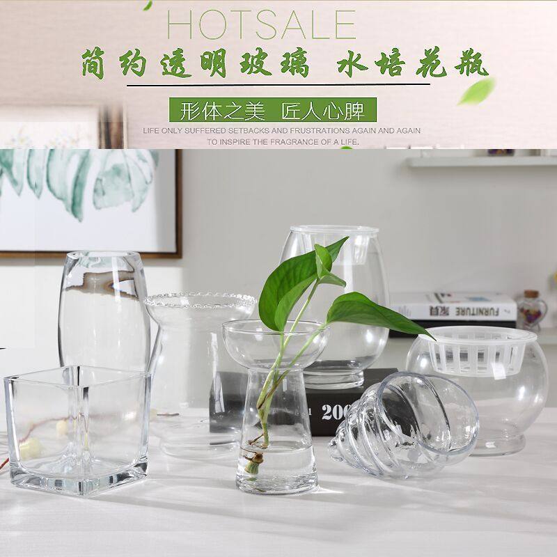 创意简约透明玻璃花瓶水培绿萝花盆水养植物客厅摆件插花器皿鱼缸,淘宝优惠券,粉丝福利购,淘宝优惠卷