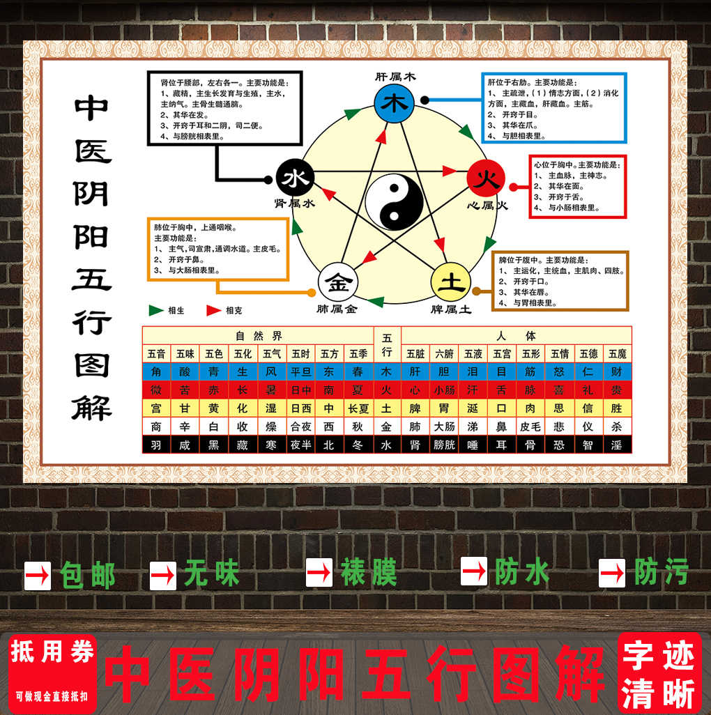 图解阴阳五行 新人首单立减十元 22年9月 淘宝海外
