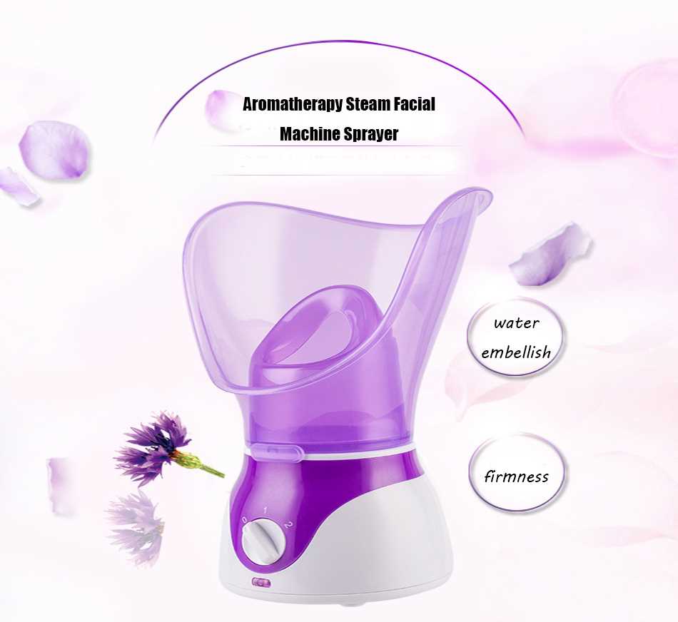 New Facial Steam Steamer hot Sprayer steaming face Cleanser - 图2