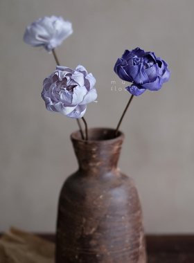 轻奢高级感精致芍药干花花束