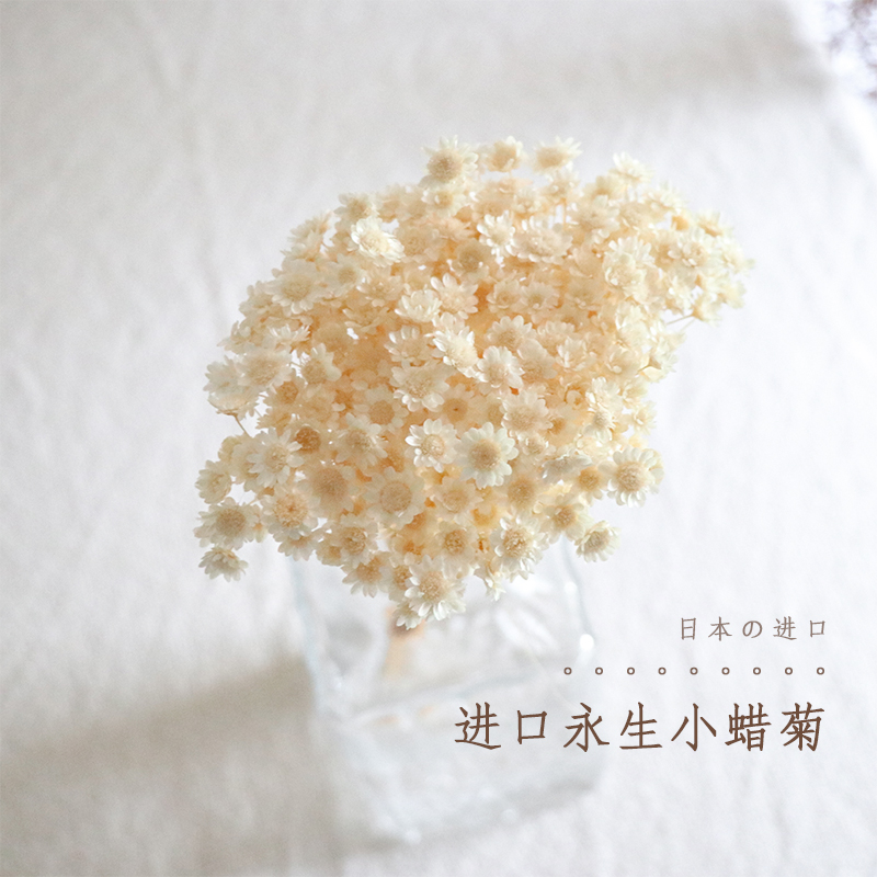 小蜡菊永生花diy材料干花小花束家居插花文艺小清新雏菊装饰软装 - 图0