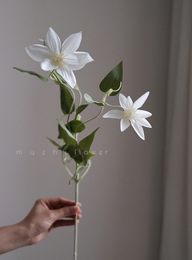 白色铁线莲装饰花卉仿真花假花绢花高档客厅花束摆件餐桌花摆花