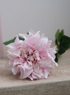 大丽花客厅摆设桌面插花