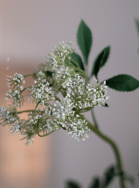 muzhiflowr白色蕾丝仿真花束