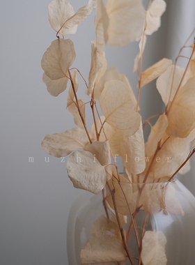 muzhi轻奢静秋干花摆件真花花束