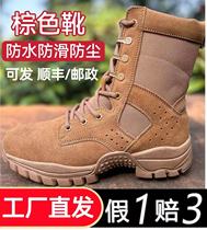 Genuine International Warden Tennis Brown Combat Male Training Boots Wear Resistant Side Zipper Training Outdoor Climbing Shoes Screening Desert Boots