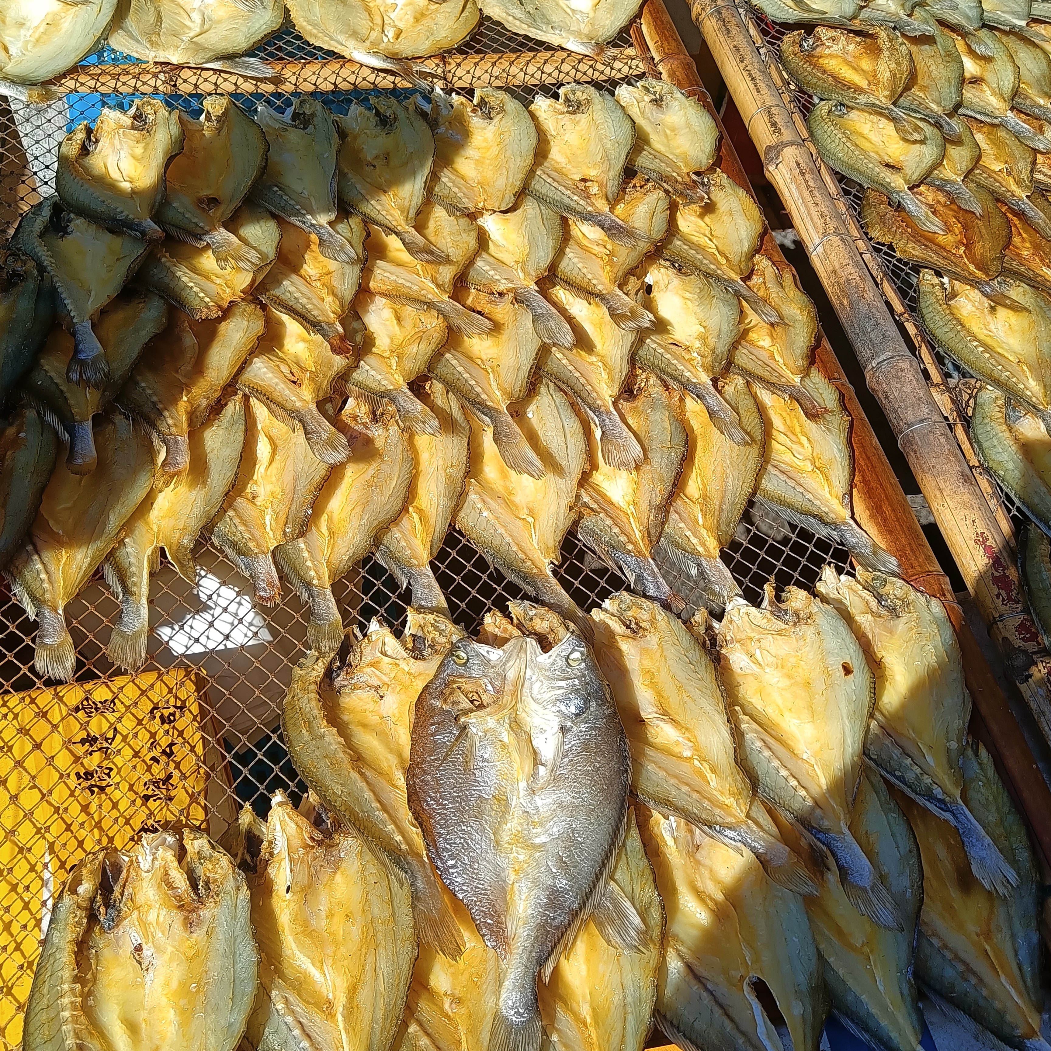 温州特产瑞安东山黄鱼鲞黄花鱼海鱼海鲜干货鱼鲞咸鱼,淘宝优惠券,粉丝福利购,淘宝优惠卷