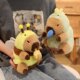 Pull the string to transform into a foodie capybara capybara doll plush toy sleeping rag doll birthday gift for women
