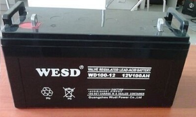 WESD无敌蓄电池WD17-12胶体12V7AH12A20A24A38A40A65A100A消防UPS - 图2