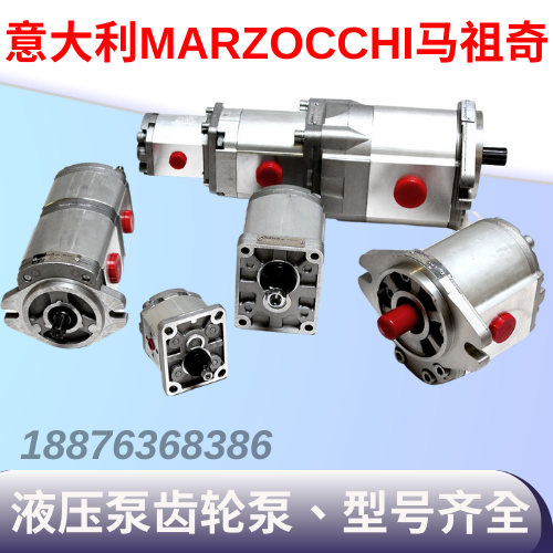 新款新款RZOCCHI马祖奇齿轮泵EK1PS2.5GK0.25D30-G-ST-TR1BK4 D 5 - 图0