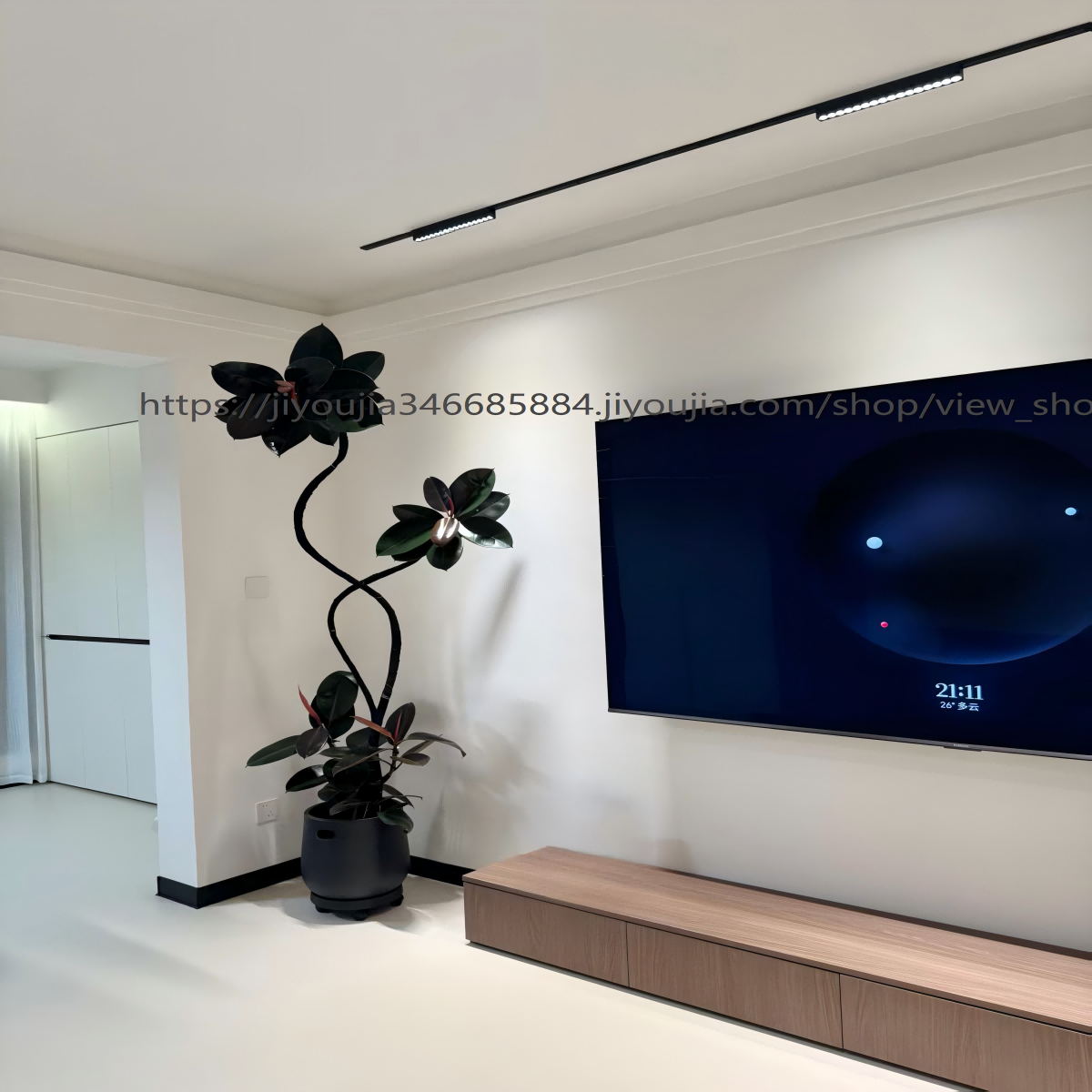 造型黑金刚橡皮树盆栽室内客厅大型植物办公室网红绿植四季好养活,淘宝优惠券,粉丝福利购,淘宝优惠卷