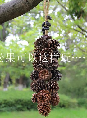 精挑松果松香花饰拍摄道具