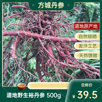 New Dig 500g Wild Red Sage Traditional Hair Sweating Process Natural Airing Without Sulphur Square City of Salvia Salvia