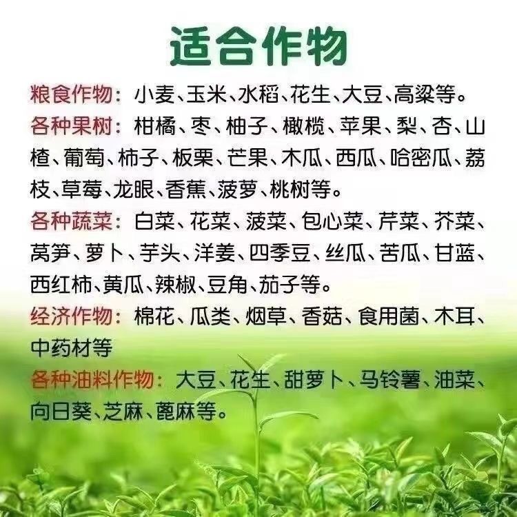 俄罗斯阿康复合肥料18-8-15含硝态氮低氯瓜果蔬菜花卉绿植正品 - 图1