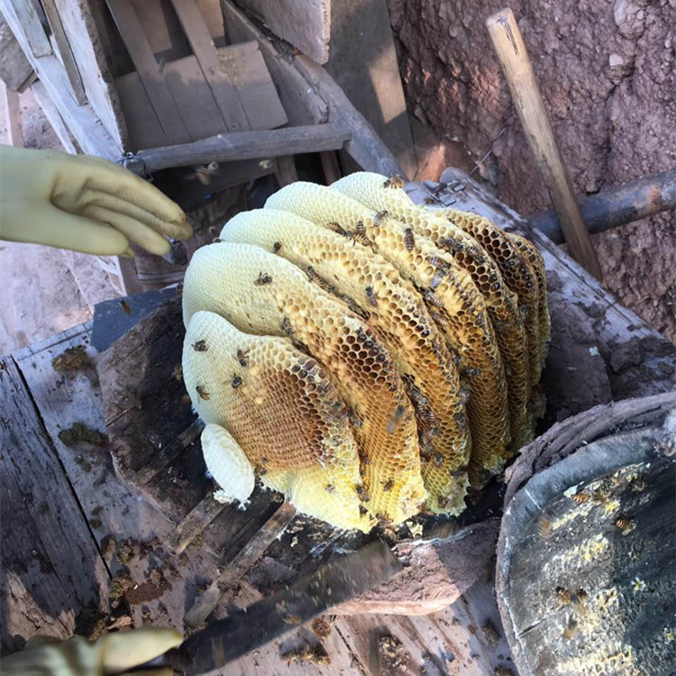 野生土蜂蜡岐翁大巴山原始森林稀有天然木桶土蜂蜜土石蜡黄蜡蜜蜡