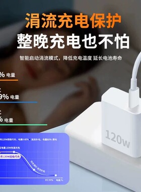 VIVO120W氮化闪充充电器套装