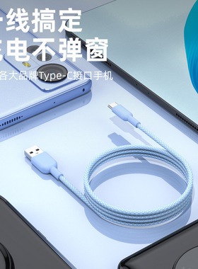 Type-C编织快充数据线1米蓝色