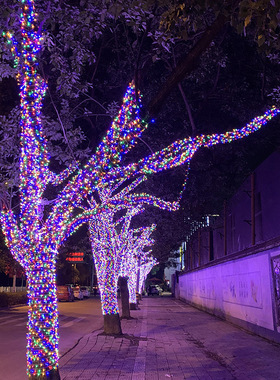 LED满天星彩灯户外露营庭院