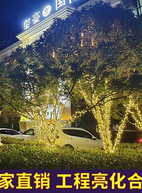 LED满天星灯串圣诞露营