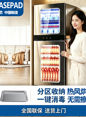 RELEASEPAD不锈钢消毒柜家用小型立式高温烘干免沥水双门消毒碗柜