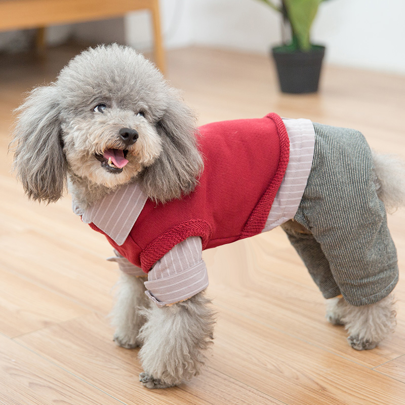 吉米娃娃宠物衣服狗狗衣服秋冬装泰迪比熊小型犬背心四脚衣两件套 - 图0