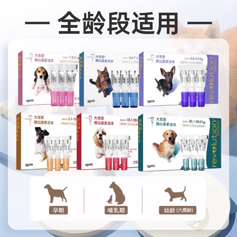 大宠爱猫狗宠物体外驱虫药幼犬猫体内外一体塞拉菌素猫用驱虫滴剂 - 图1