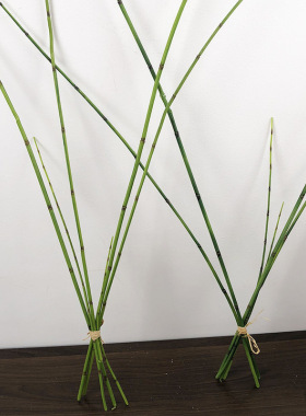 仿真竹节草加长木贼花艺装饰插花配材摆件客厅绿植摆设酒店细竹