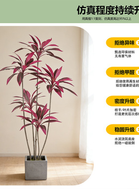 轻奢仿真绿植朱蕉七彩铁树盆栽客厅办公室大型落地装饰摆件假植物