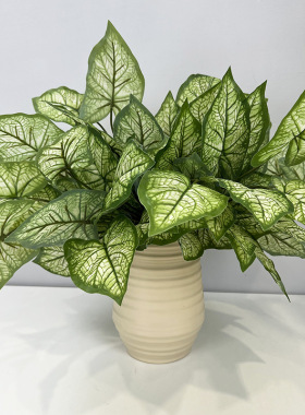 仿真植物绿植盆栽装饰植物墙配材把束过胶叶子12头芋头叶孔雀竹芋